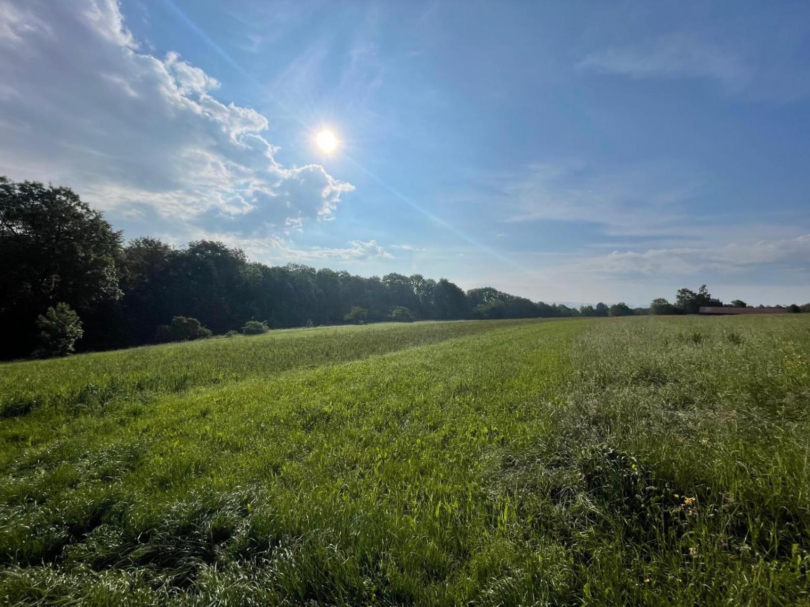 Tinyhaus #4 Huelben - Ortsrand - Kostenlose Parkplaetze Hulben 外观 照片